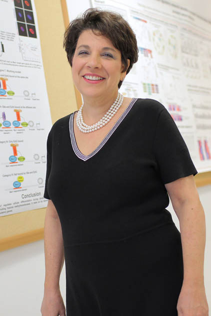 Cory Abate-Shen, PhD