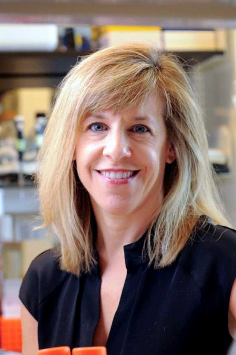 Lori Zeltser, PhD