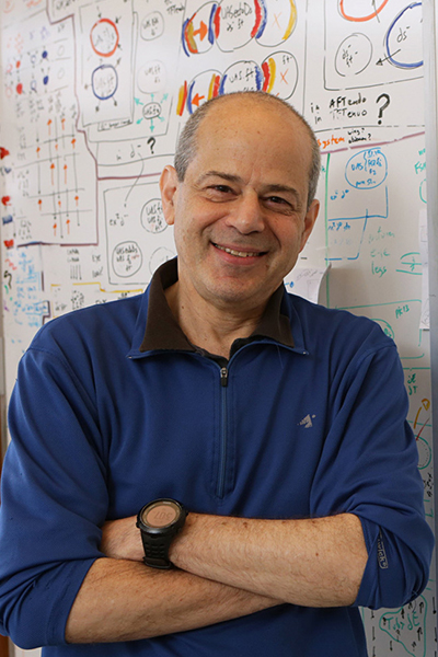 Gary Struhl, PhD