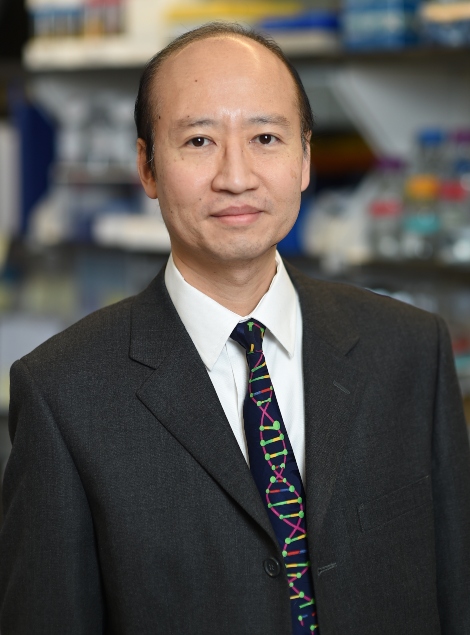Stephen H. Tsang, MD, PhD