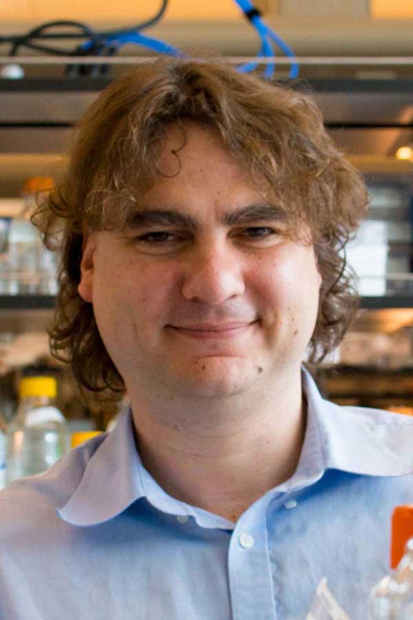 Stavros Lomvardas, PhD
